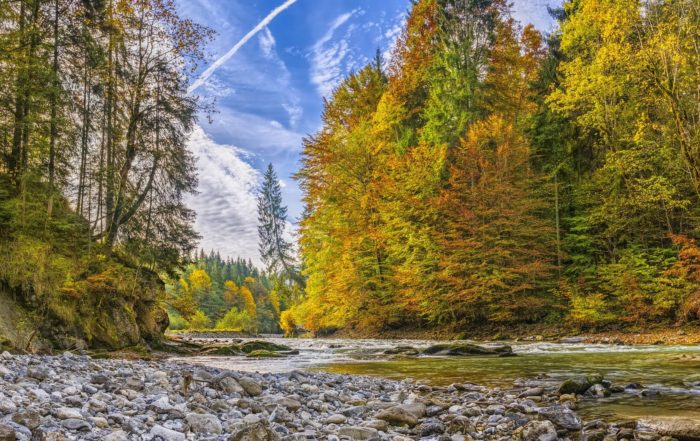 Bachlauf im Wald